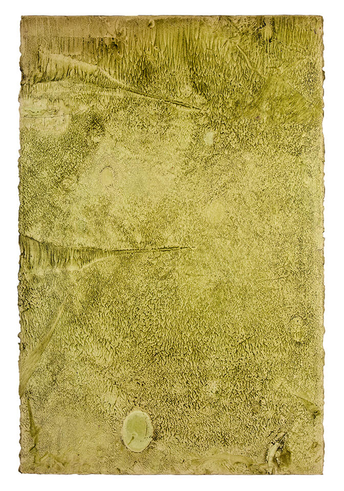 chontaduro papel 13.jpg